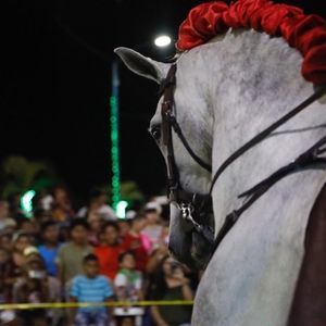 Meet your Posher, Luis